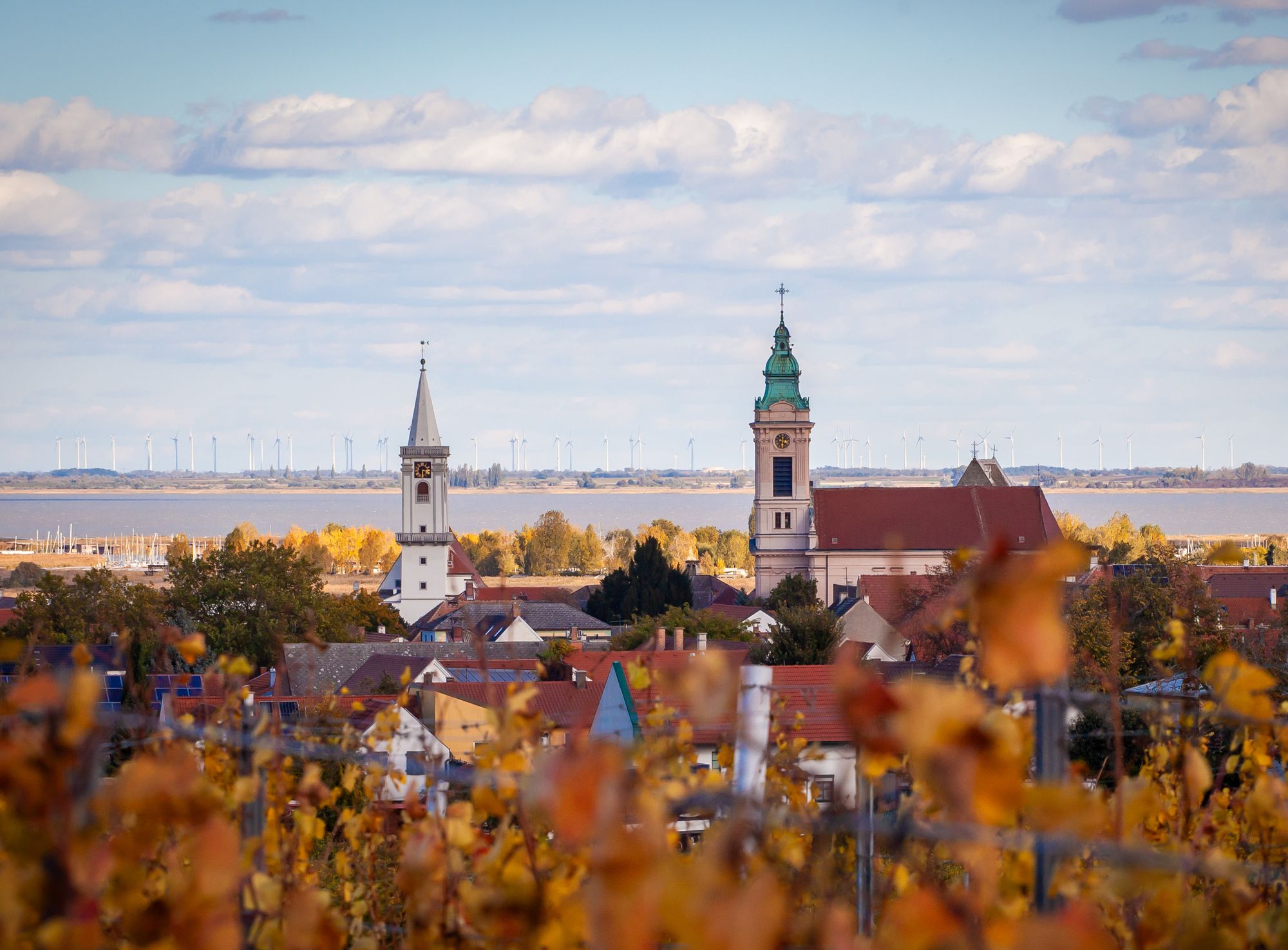 Blick über herbstliche Weingärten auf die Altstadt von Rust mit Fischerkirche, Pfarrkirche und Neusiedlersee